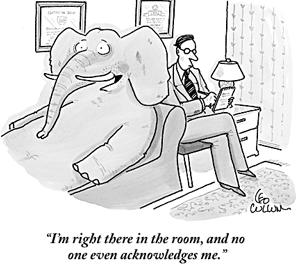 DTLS-SRTP Elephant in the Room - cartoon
